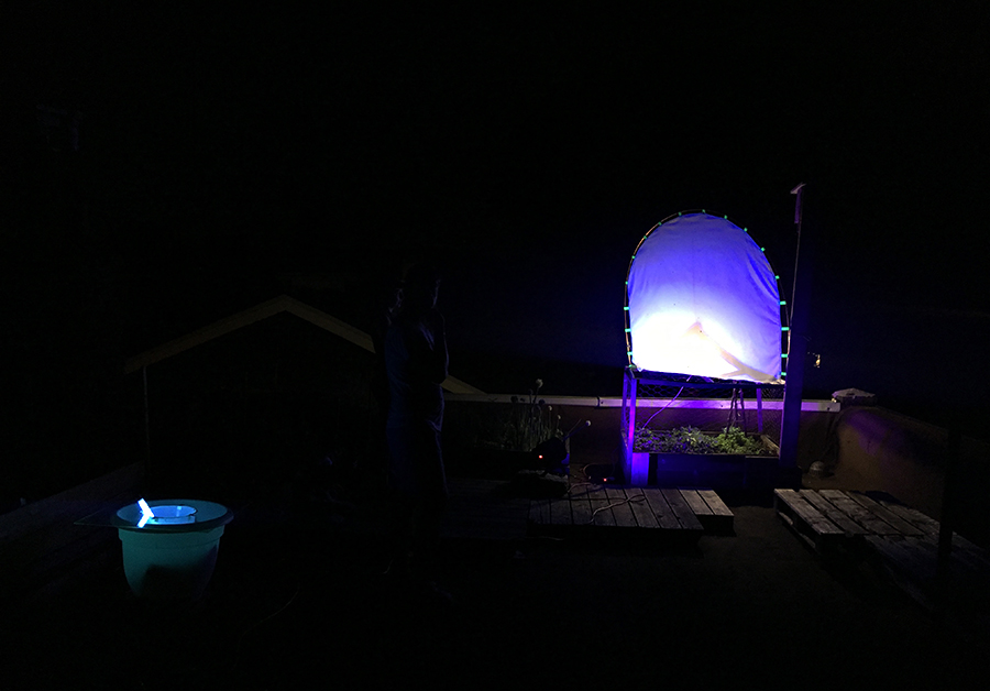 luna light installations