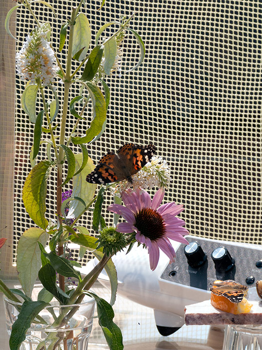 she changes everything she touches and everything she touches changes